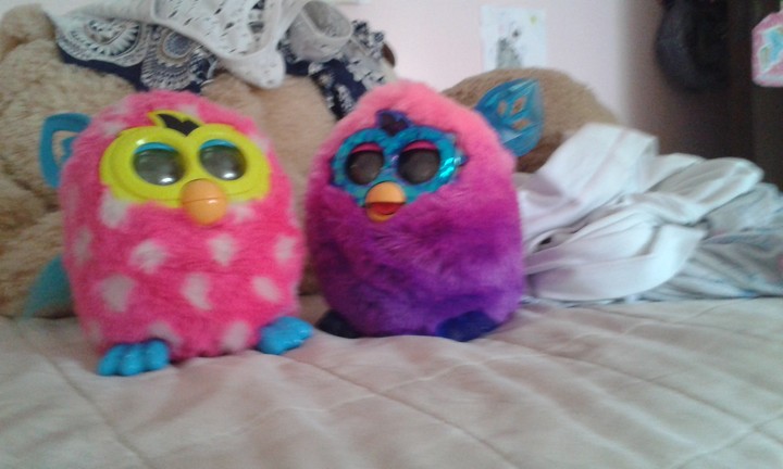furby boom