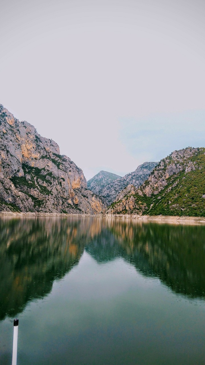 yansıma