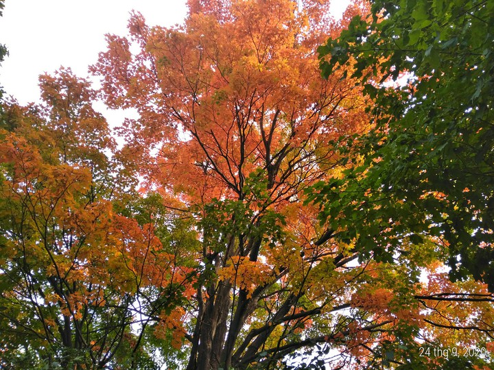 Autumn