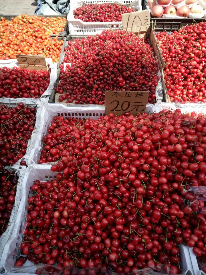 Chinese cherry