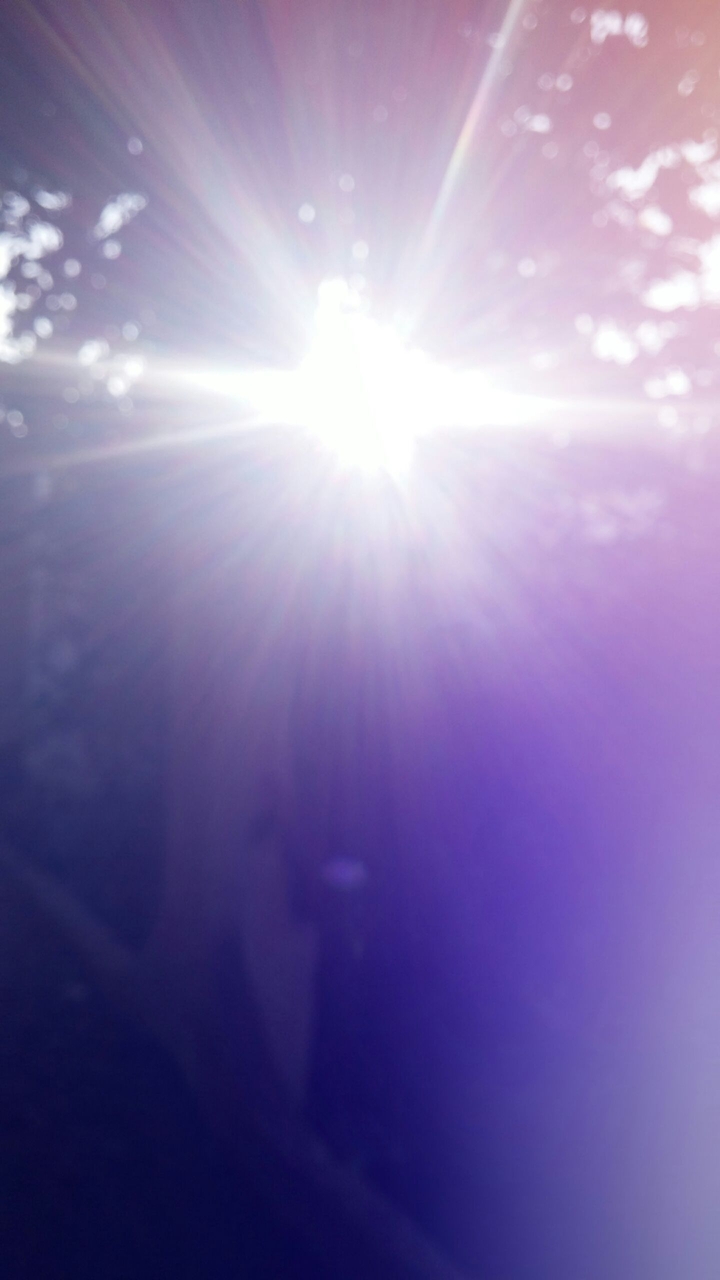 sunny morning
