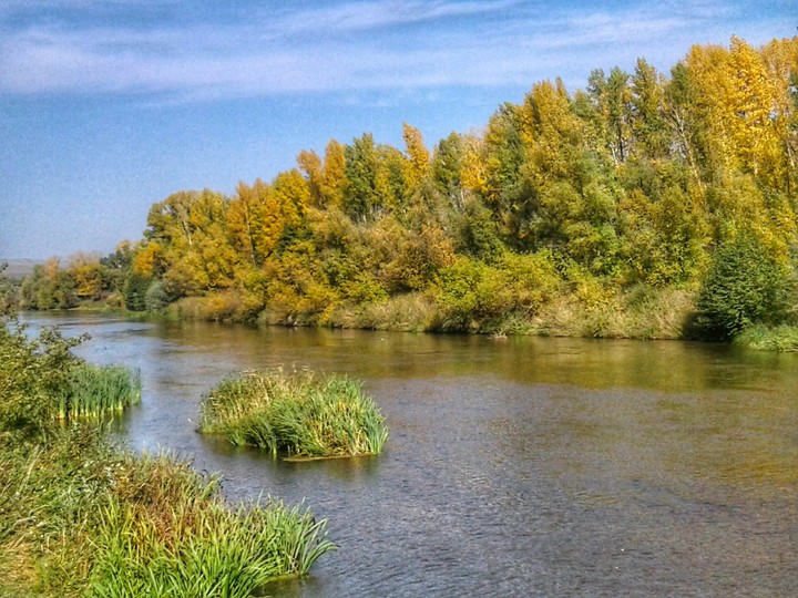 Осень