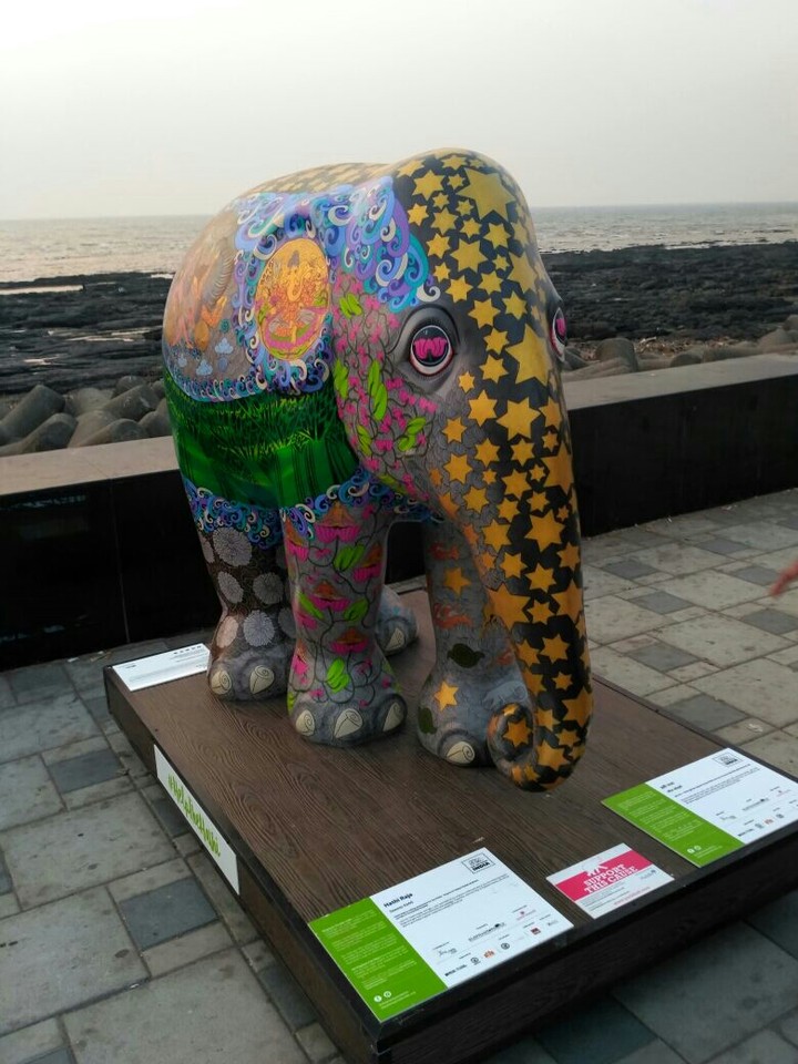 elephant