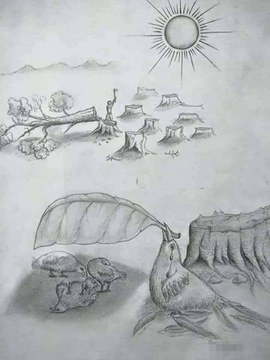 save water