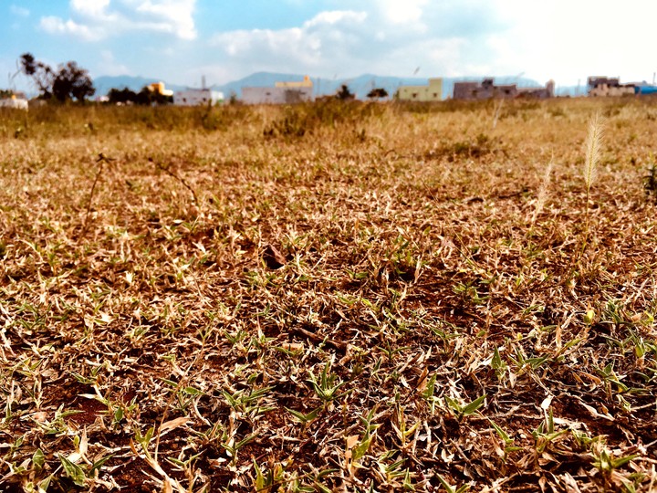 Ground View