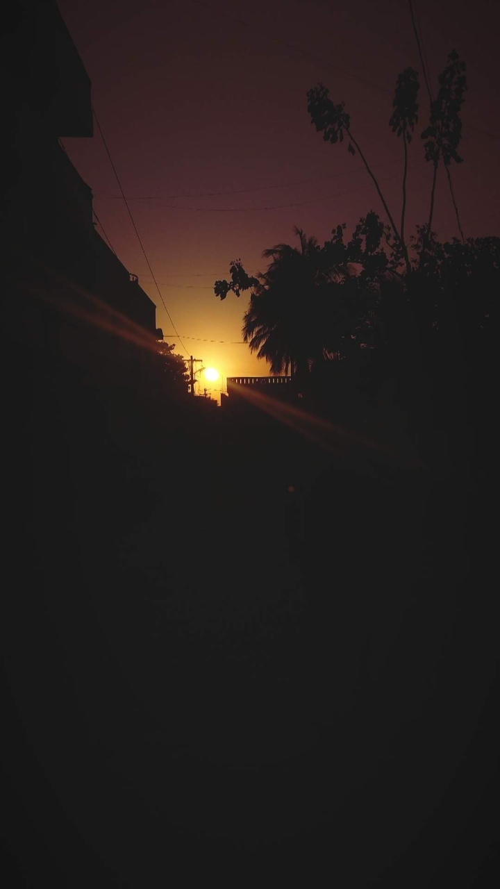 sunset