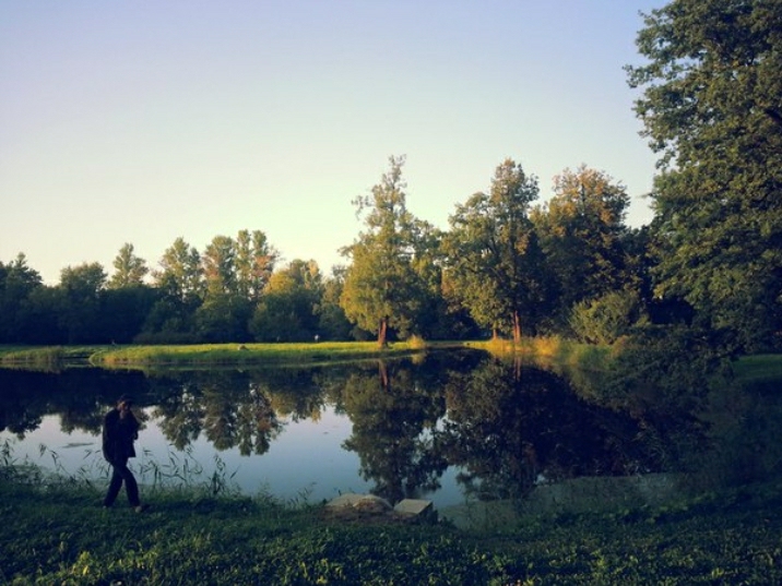 The walk