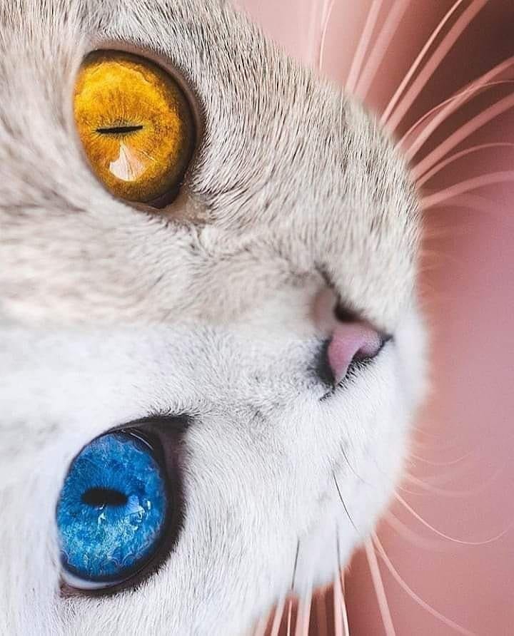 amazing