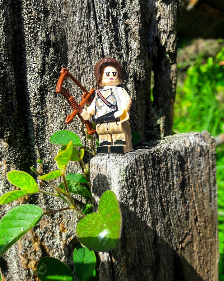 Lara Croft / Lego