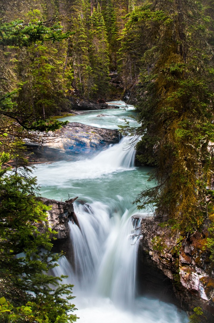 papéis de parede watercourse, nature