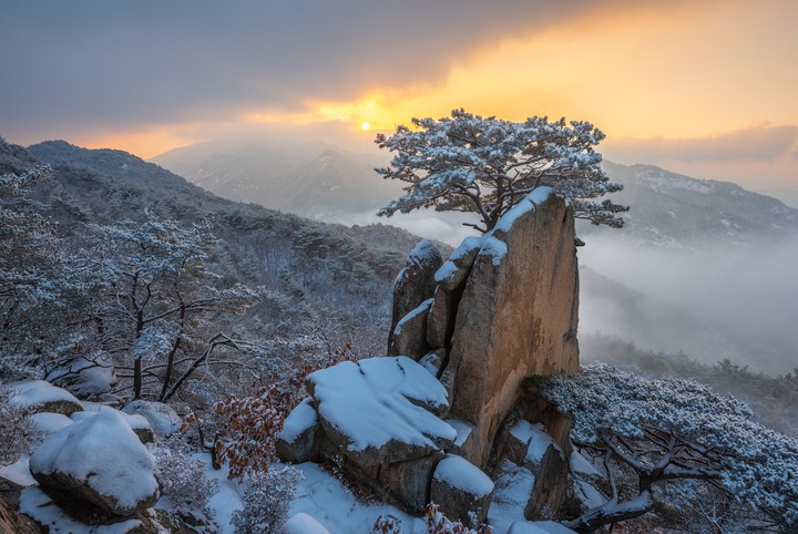 korea