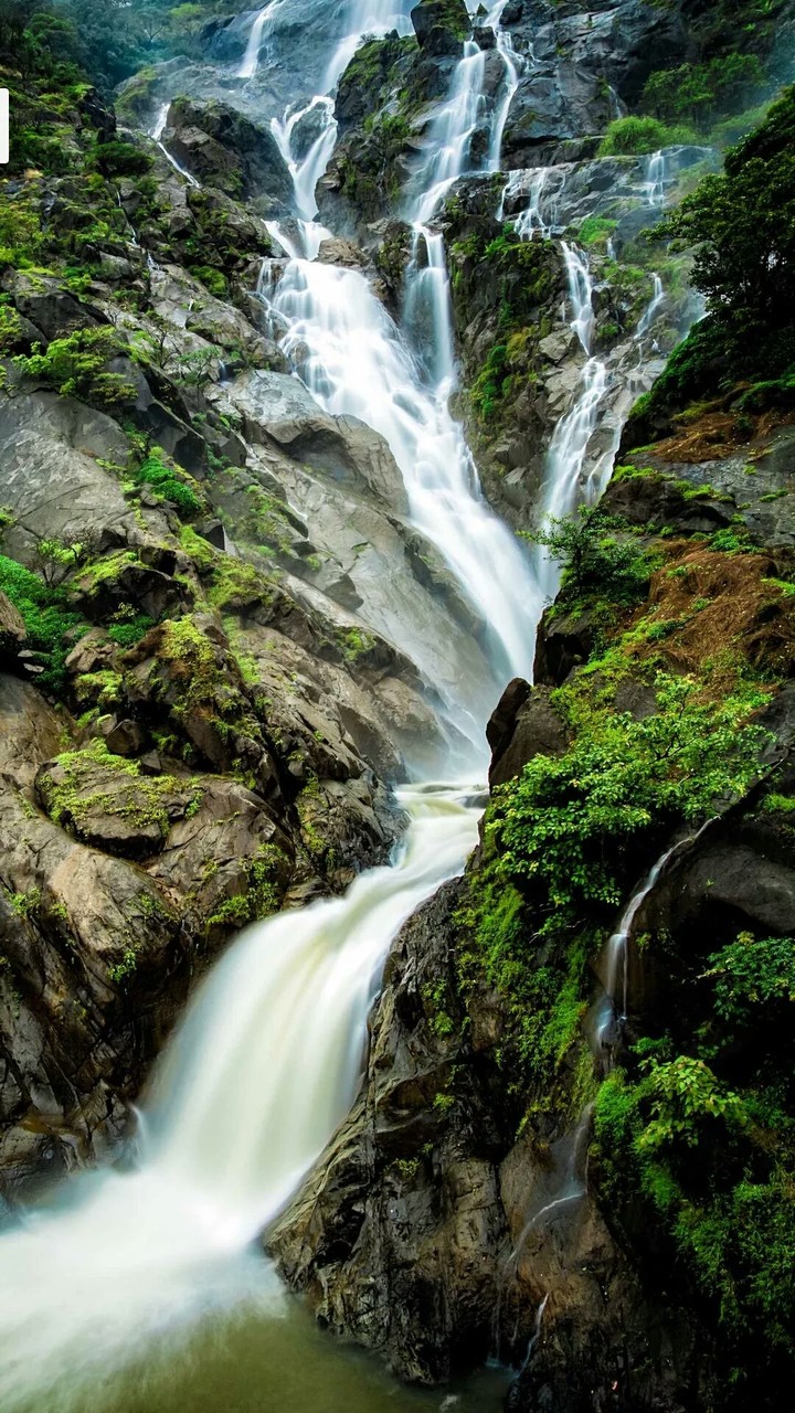 water foll