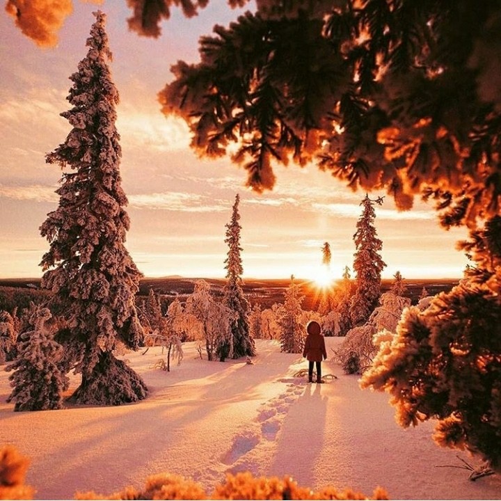 evening in Lapland