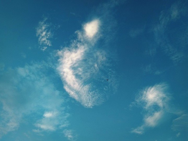 A Plane in the sky