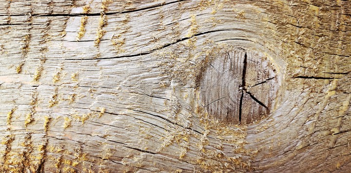 Wood brown
