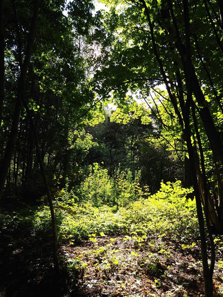 Green life