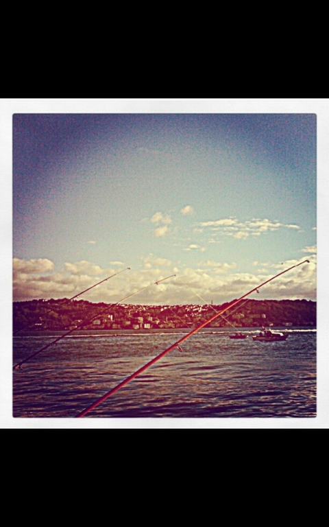 sea