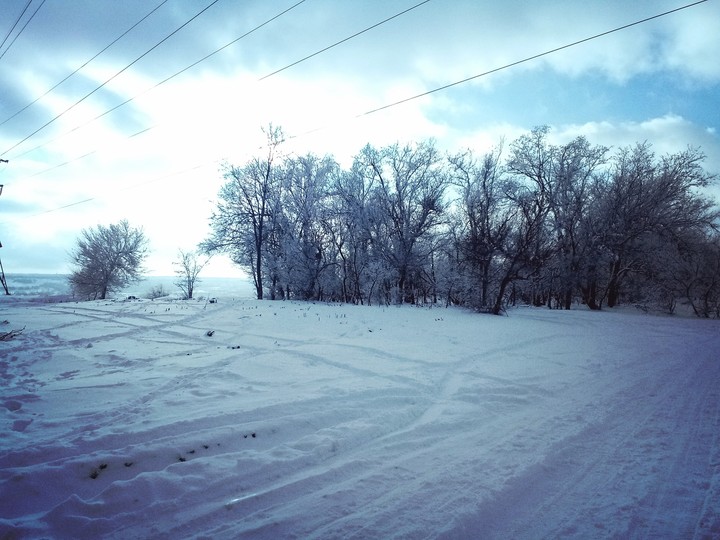 зимняя прогулка