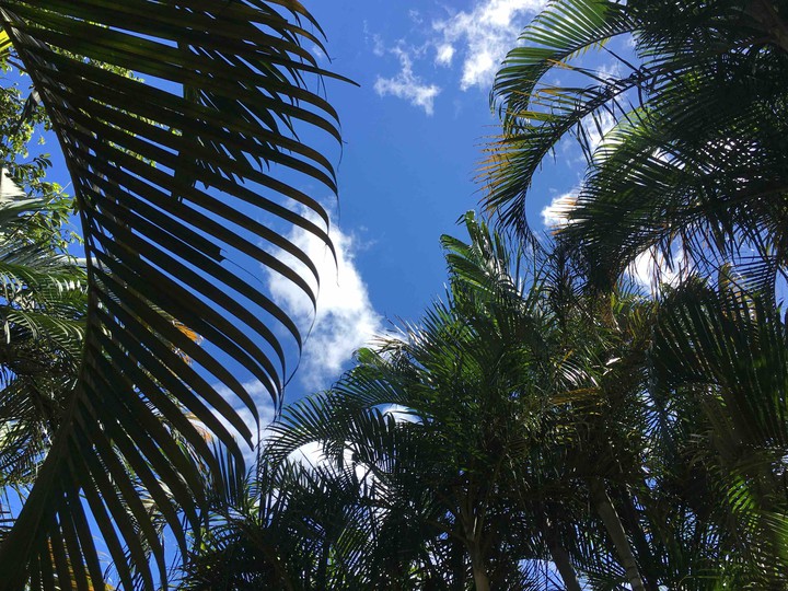 sky-cielo-heaven.