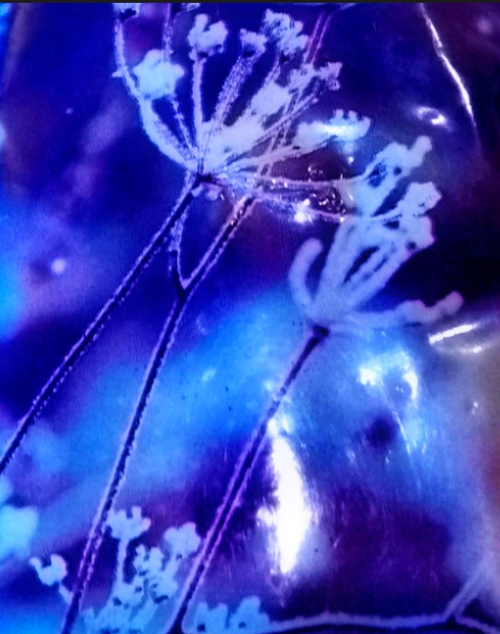 Blumen