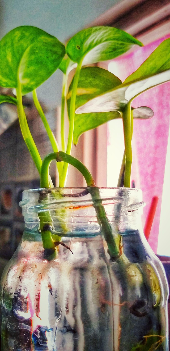 #vbv_photography ?
