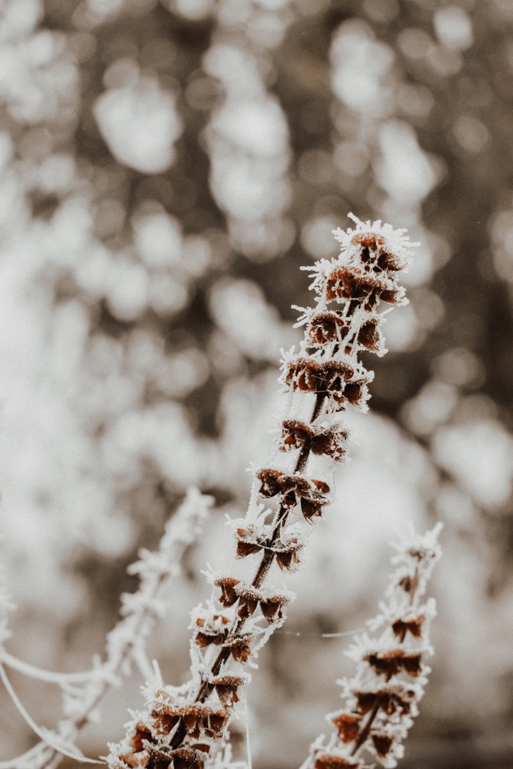 November