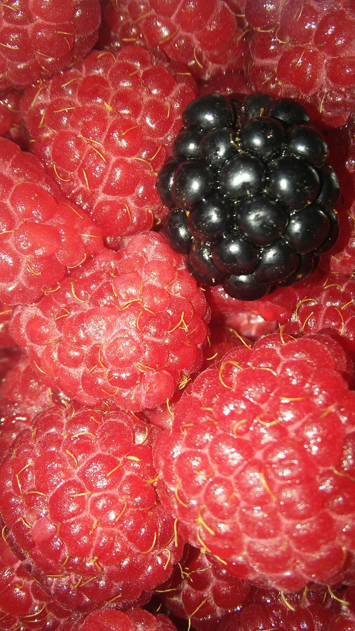 berry