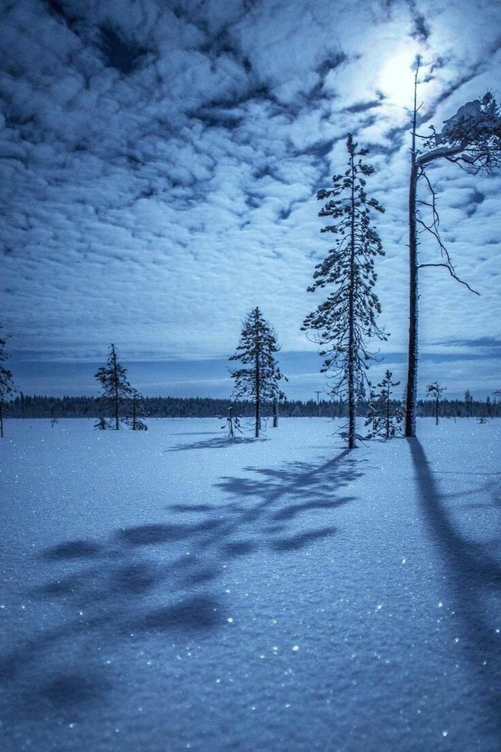 Winter Wonderland