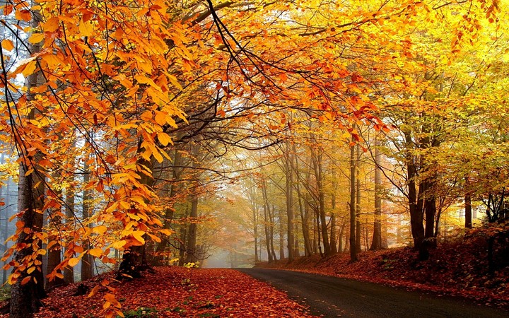 road