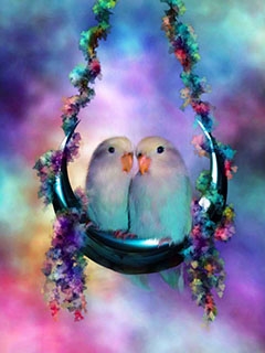 birds