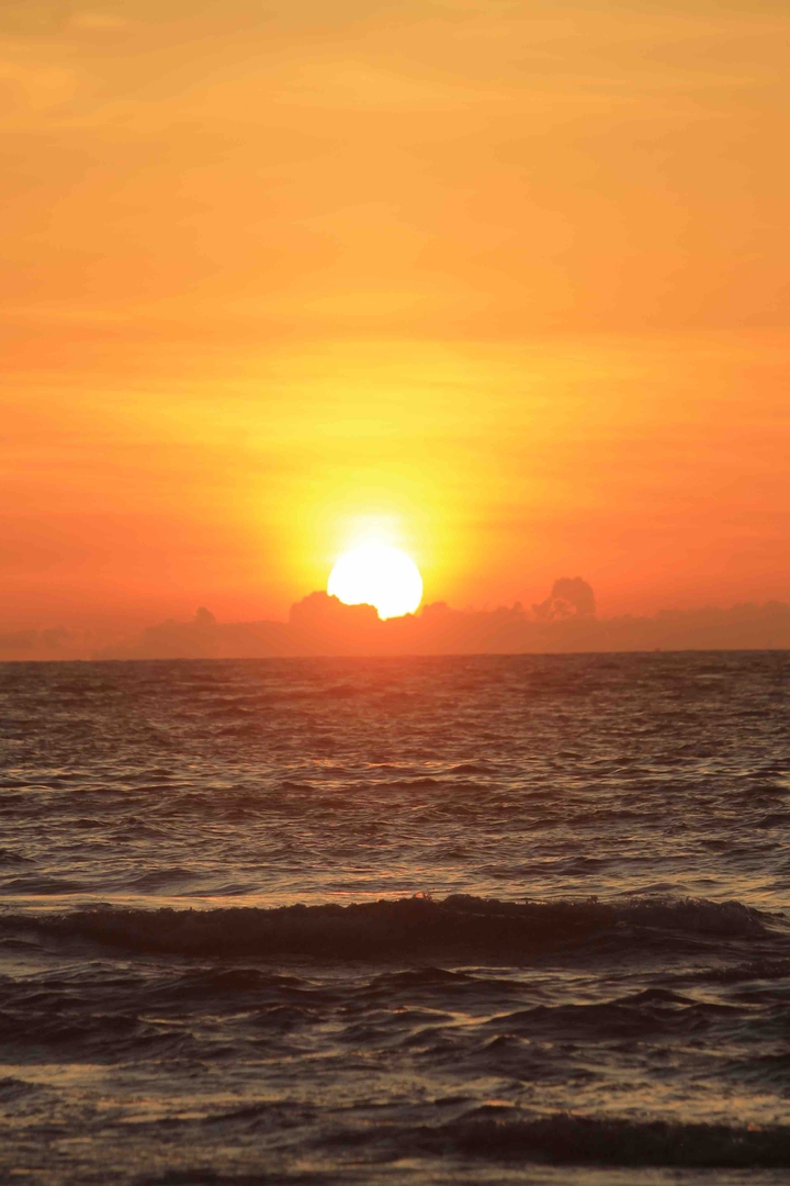 Sea’s the day