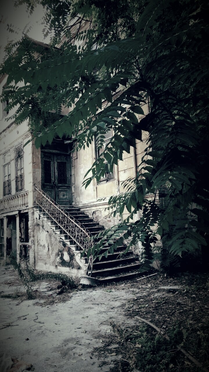 Old House