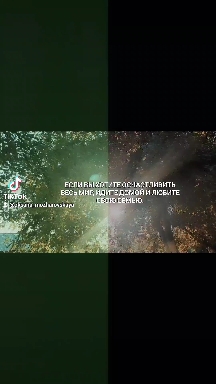 семья
