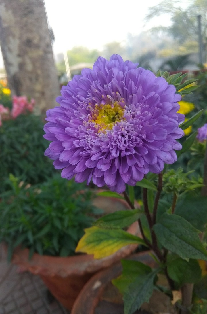 Nature