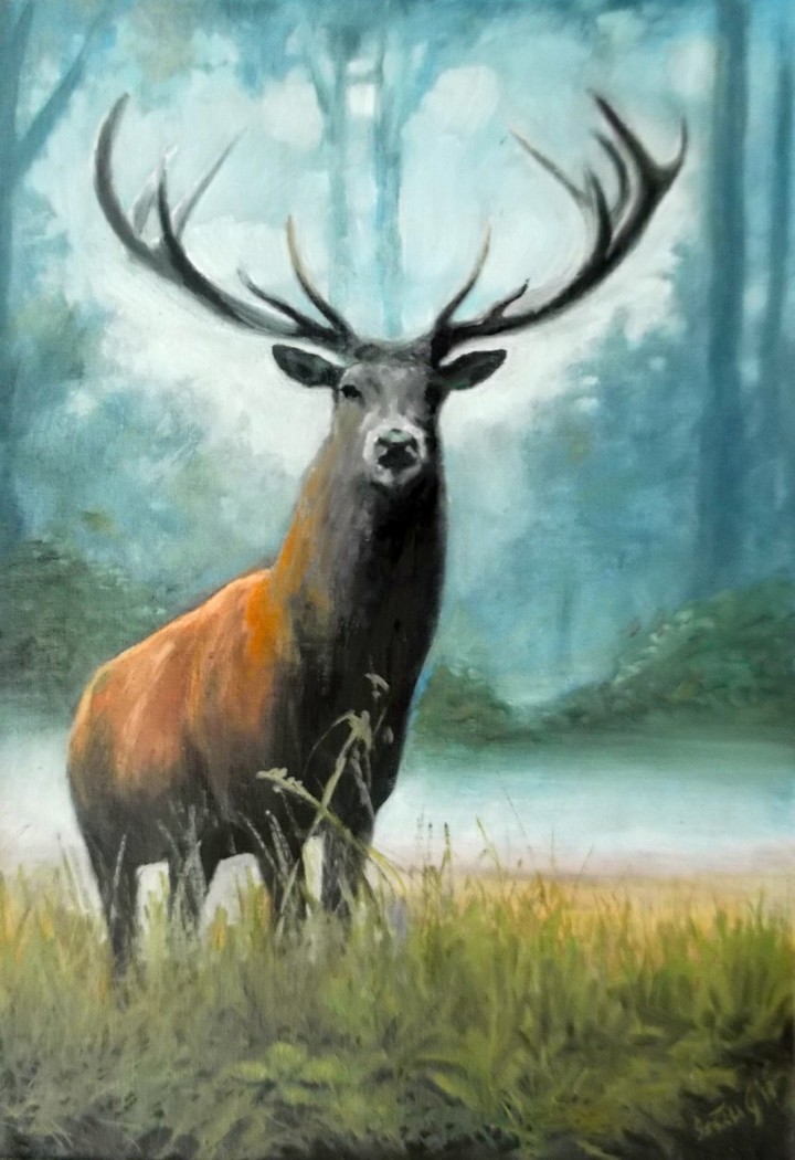 deer