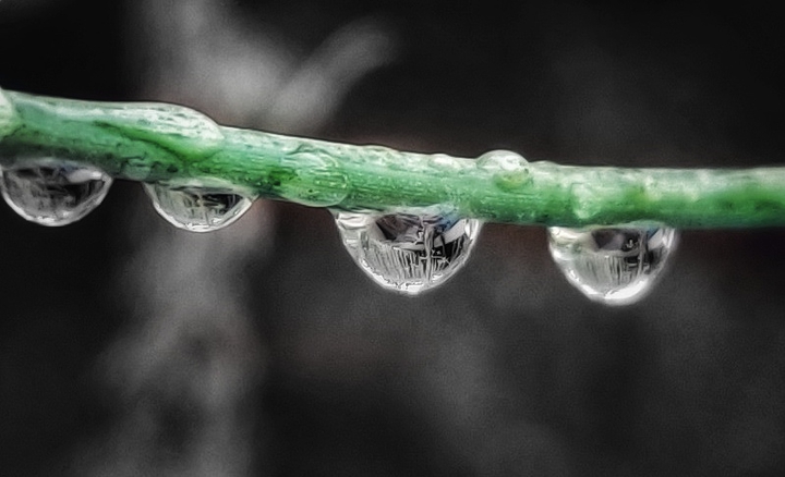 Rainbeads