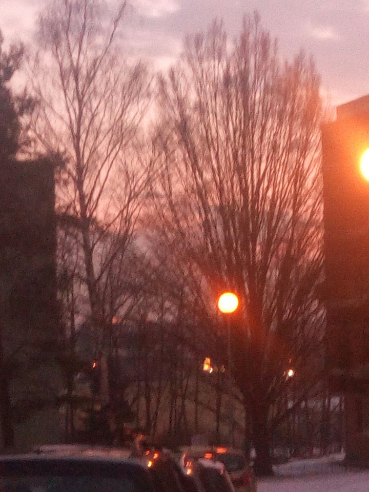 Sun light with tree