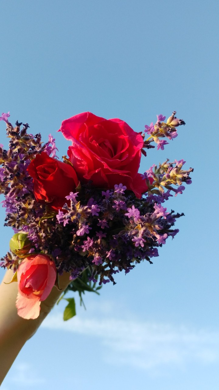 Flower in the sky