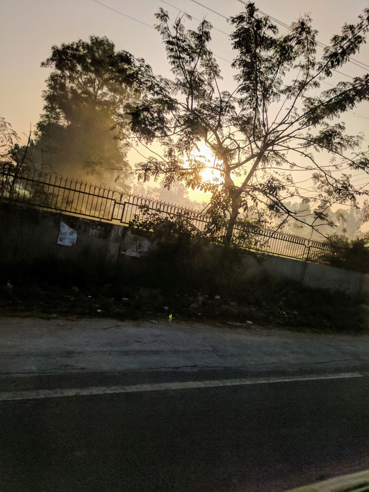 shiney mornings