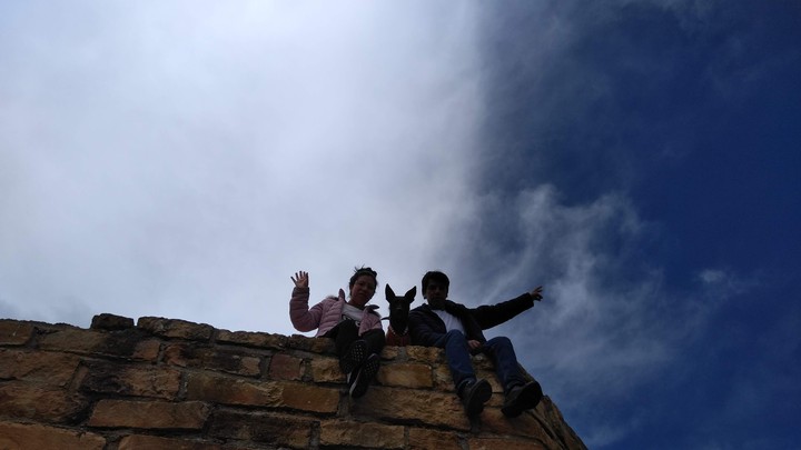 mis amigos