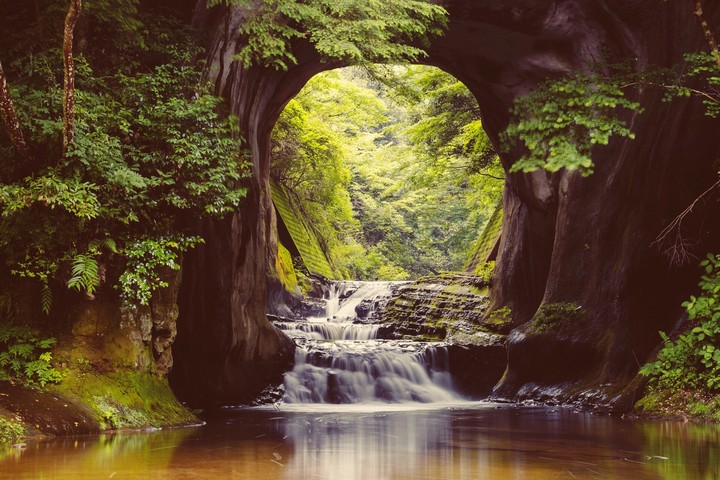 nature