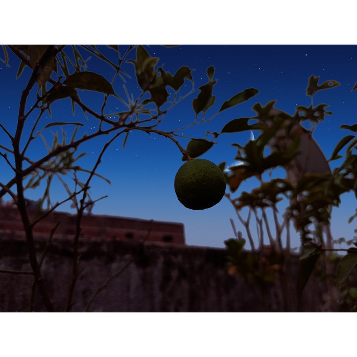 Clear sky