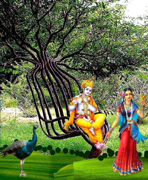 जय श्री राधे कृष्ण।