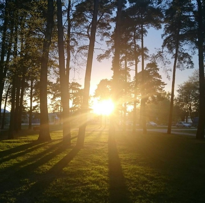 Sunrise