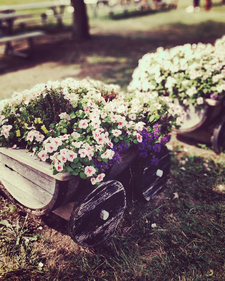 Vintage purple flowers