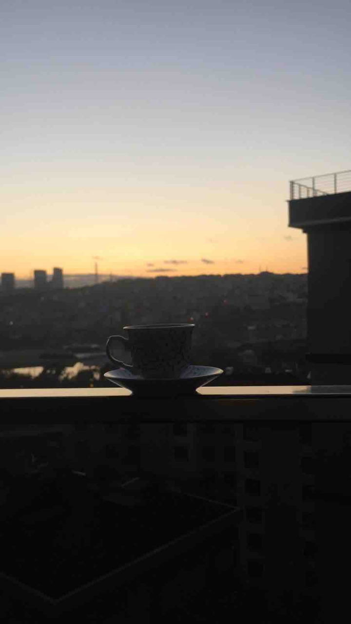 the view