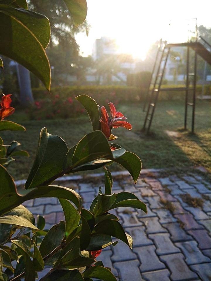 gud mrng g