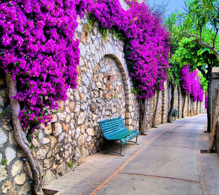 charm road