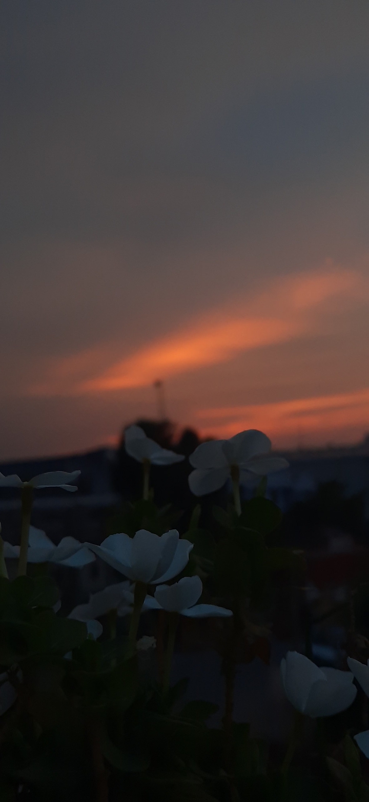 sky