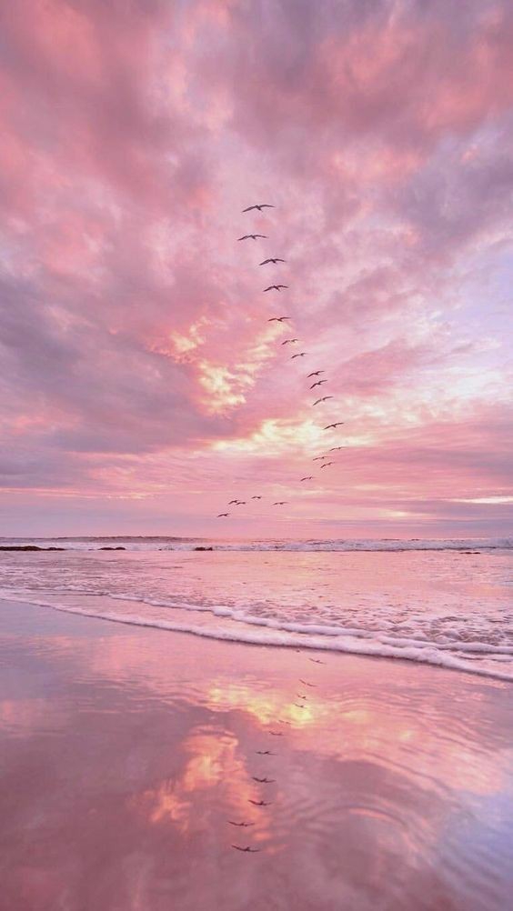 pink